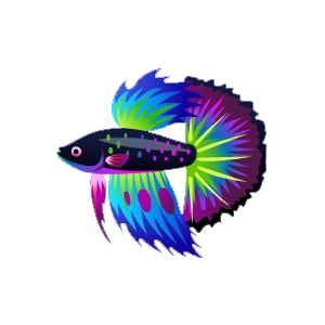 Colorsplash Betta